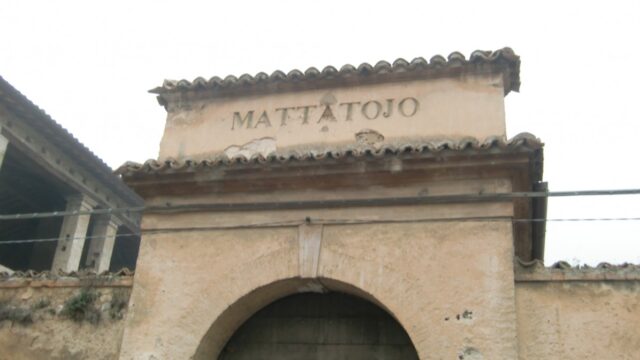 541_mattatojo