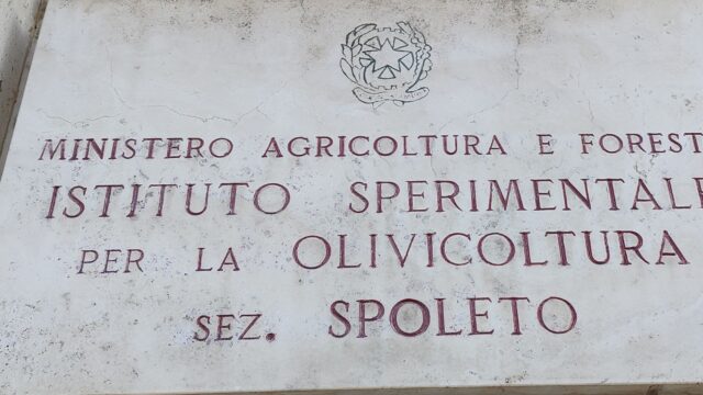 Oleificio sperimentale