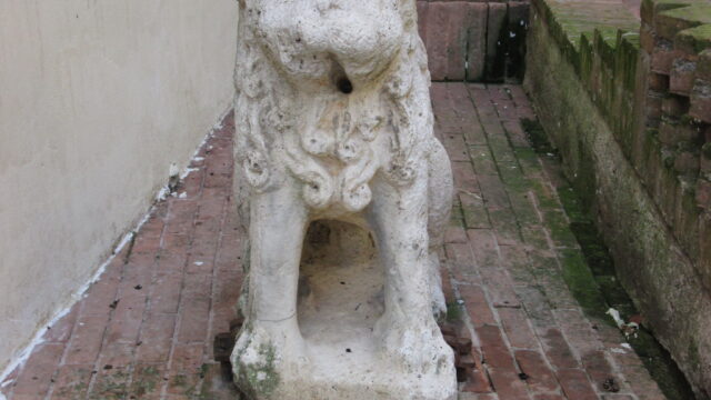fontanella del leone (1)