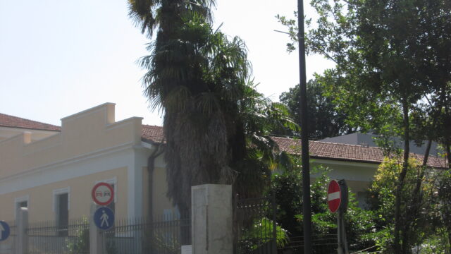 Palme via Martiri