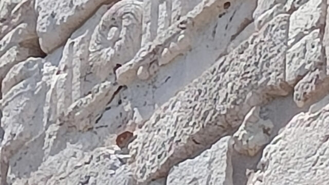 bucranio Duomo
