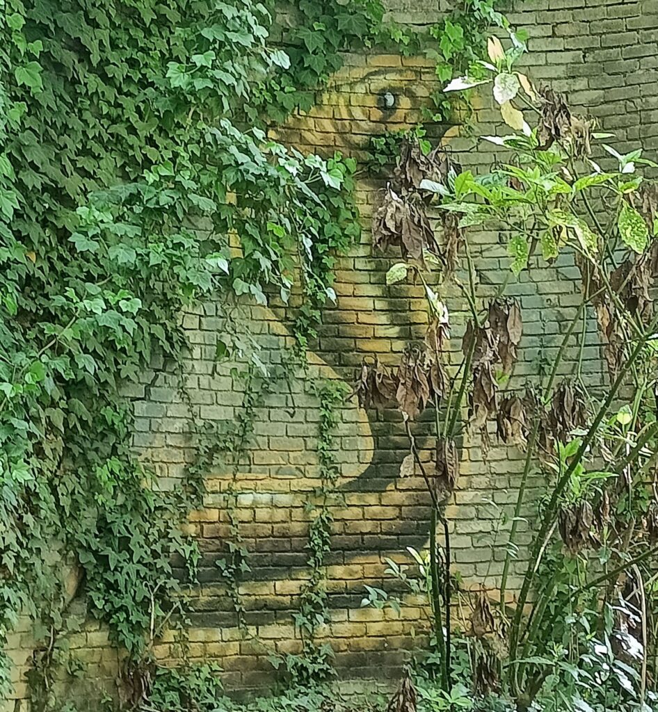 cobra