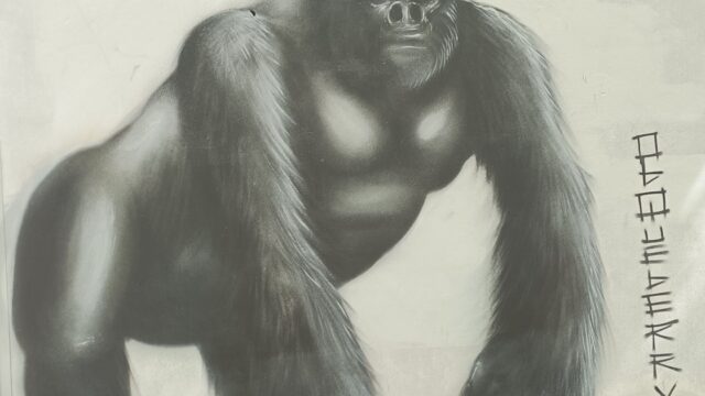 gorilla
