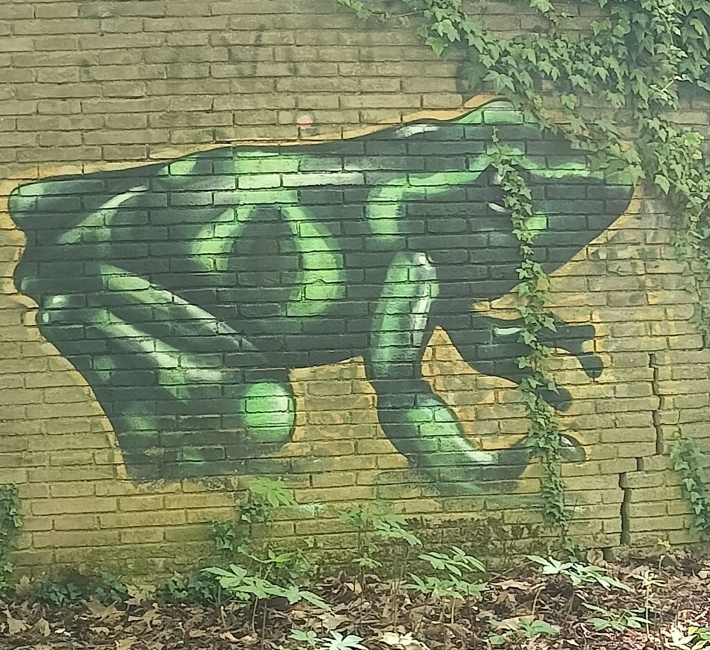 rana