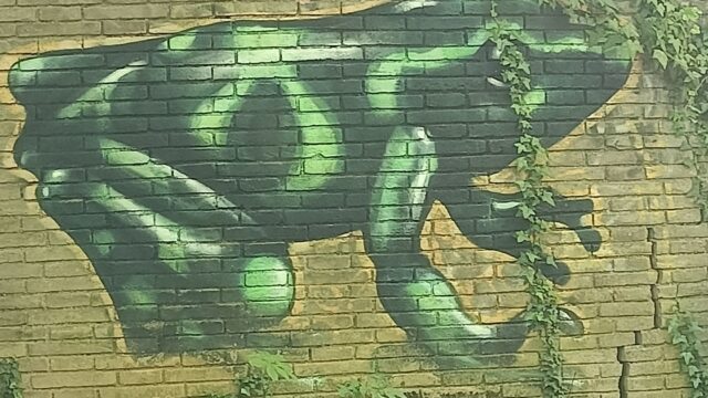 rana