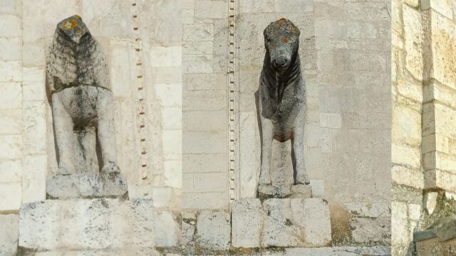 protomi bovine sul Duomo